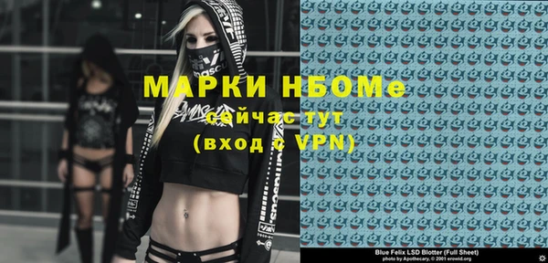 гашик Дмитровск