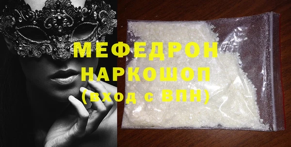 стаф Ельня