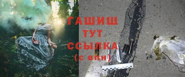 гашик Дмитровск