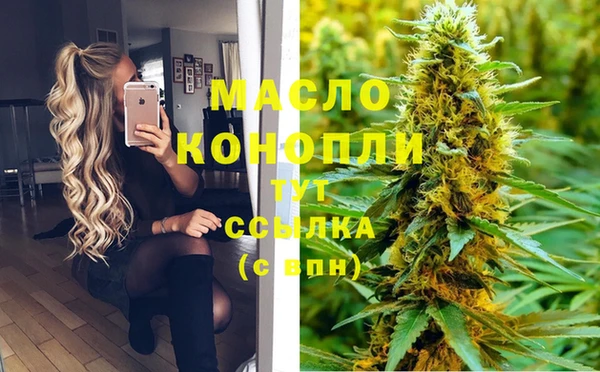 гашик Дмитровск