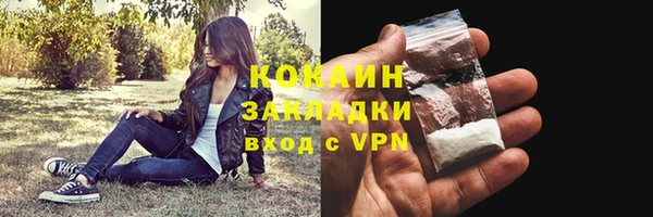 мдпв Инсар