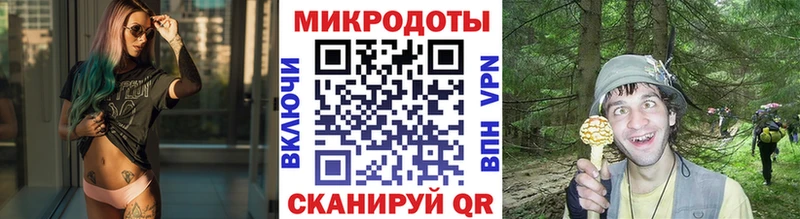 Купить  Сим  Псилоцибиновые грибы прущие грибы 